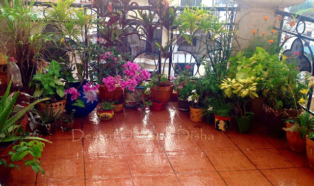 Balcony Garden