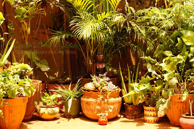 Indian Balcony Garden