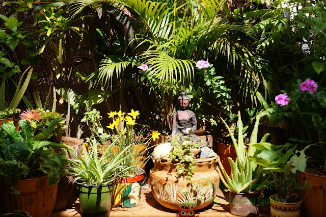 Balcony Garden