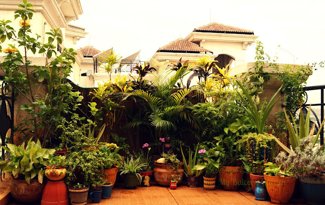 Balcony Garden