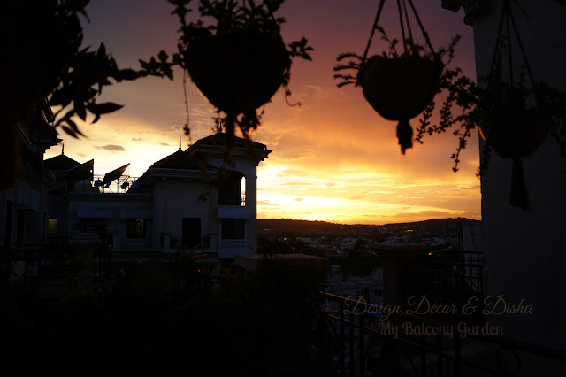 Balcony Garden