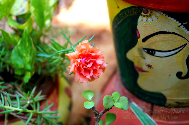 Balcony Garden