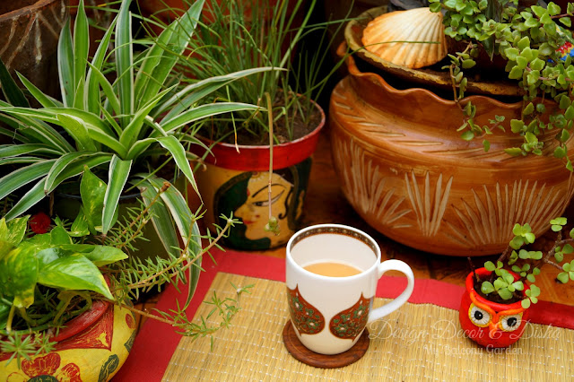 Balcony Garden