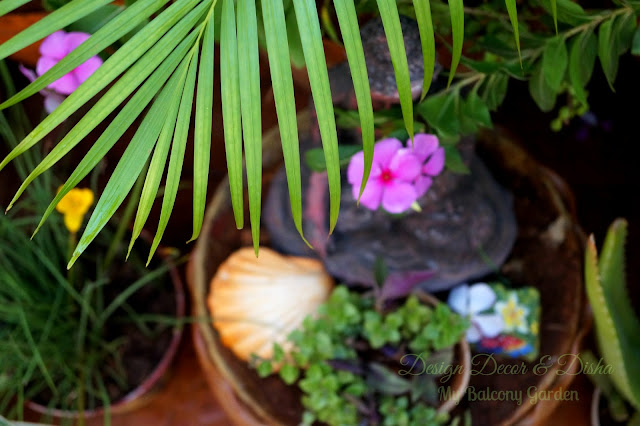 Balcony Garden