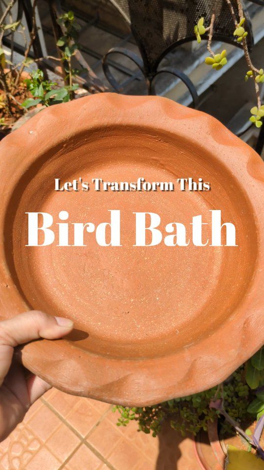 Let's name these cute pebble birds 🙂
This summer, make a difference by creating an urban oasis for birds. Placing a birdbath or a pot filled with water on your balcony or terrace is a simple yet meaningful way to help these voiceless creatures.

#diy #birdbath #summer #pebble #pebbleart #handpainted #trendingart #keepwaterforbirds